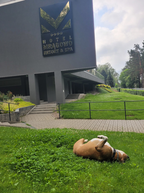 Hotel Mrągowo Resort & Spa - zabawa Gizma na trawie