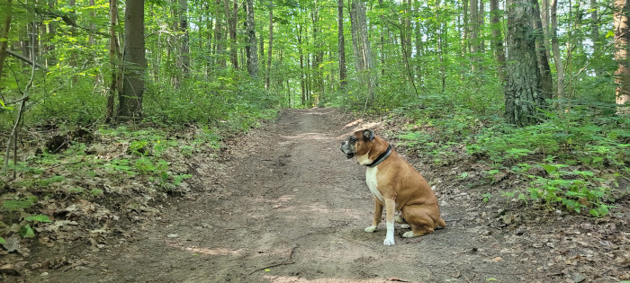 Spacer leśnymi ścieżkami w Mrągowie
